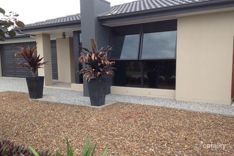 Property photo of 15 Undarra Street Pimpama QLD 4209