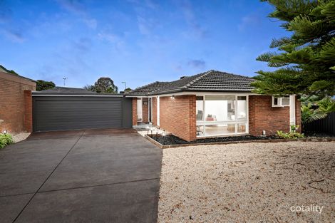 Property photo of 56 William Perry Close Endeavour Hills VIC 3802