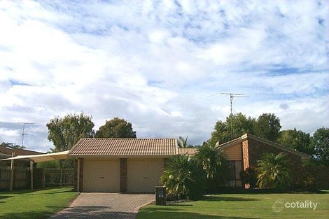 Property photo of 3 Churinga Street Minyama QLD 4575