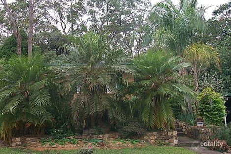 56 Hibiscus St, Everton Hills, QLD 4053