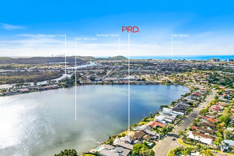 Property photo of 49 Ironbark Street Elanora QLD 4221