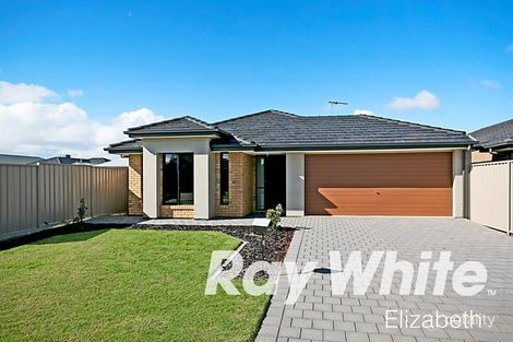 25 Nybo Ct, Munno Para West, SA 5115