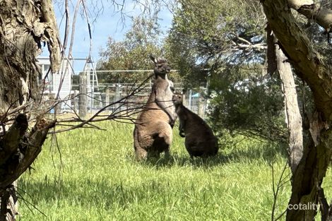 Property photo of 46 Lowline Way Barragup WA 6209