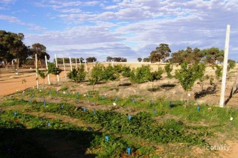 Francis St, Popanyinning, WA 6309