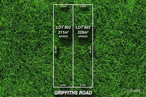 19 Griffiths Rd, Plympton Park, SA 5038