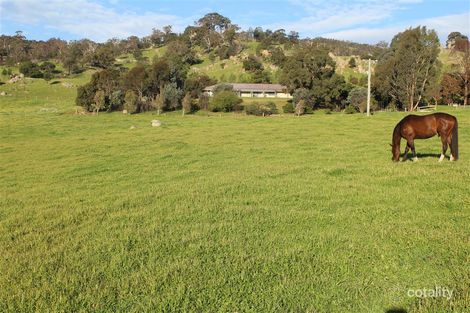 1167 Creightons Creek Rd, Creightons Creek, VIC 3666