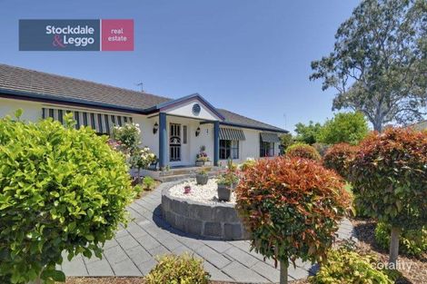 10 Bushfield Ct, Traralgon East, VIC 3844