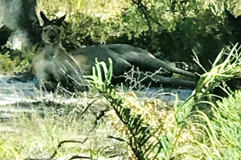 19 Macnair Pl, Yallingup, WA 6282