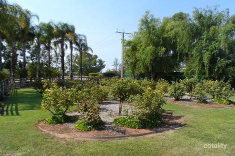 Property photo of 6 Cucumunga Street Renmark West SA 5341