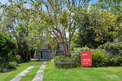 Property photo of 13 Oleander Avenue Shelly Beach QLD 4551