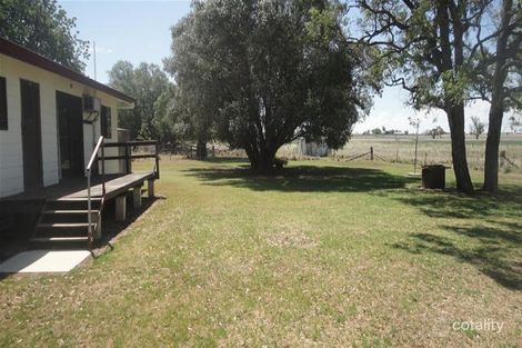Property photo of 286 Bayliss Lane Bithramere NSW 2340
