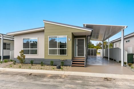 Property photo of 36/36 Golding Street Yamba NSW 2464