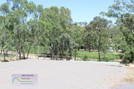 19 Surrey Lane, Penwortham, SA 5453