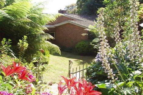 Property photo of 52 Jellicoe Avenue Monbulk VIC 3793