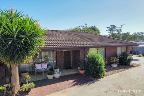 Property photo of 4/435 Campbell Street Swan Hill VIC 3585