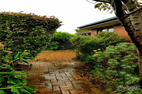 Property photo of 2/16 Patterson Road Bentleigh VIC 3204