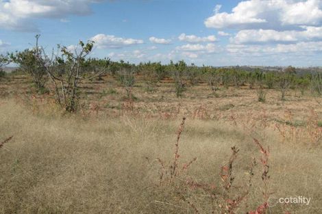 Property photo of 23 Good Friday Gully Road Maimuru NSW 2594