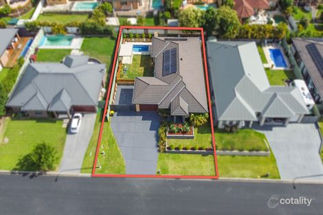 Property photo of 25 Hinchinbrook Close Ashtonfield NSW 2323
