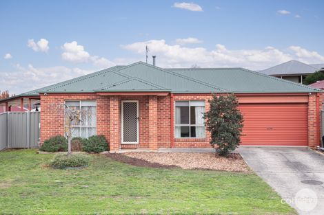 16 Heales St, Mount Pleasant, VIC 3350