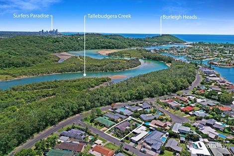Property photo of 4 Linum Street Palm Beach QLD 4221
