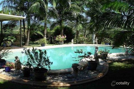 Property photo of 137 Adcocks Road Stokers Siding NSW 2484