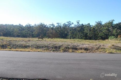 Property photo of 113 Toallo Street Pambula NSW 2549