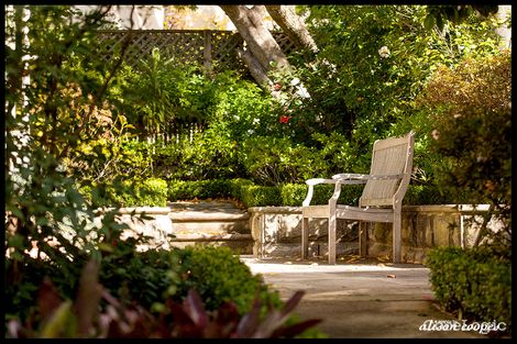 Property photo of 1 Nurran Road Vaucluse NSW 2030