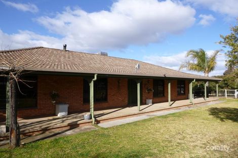 Property photo of 199 Quarry Road Moorbel NSW 2804