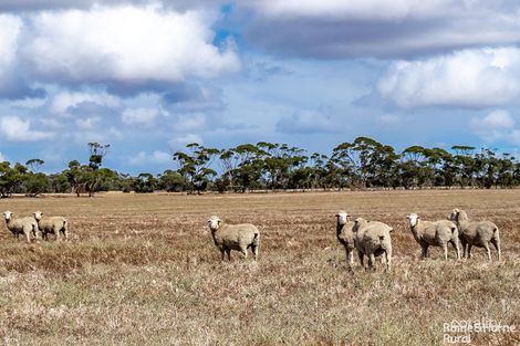 18 Pascoe Rd, Coonalpyn, SA 5265