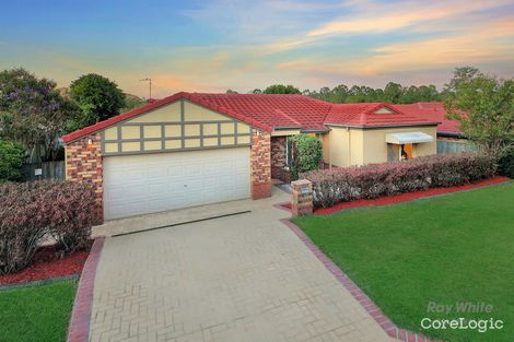 Property photo of 47 Cottonwood Crescent Calamvale QLD 4116