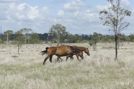 Property photo of 192 McKenzie Road Alton Downs QLD 4702