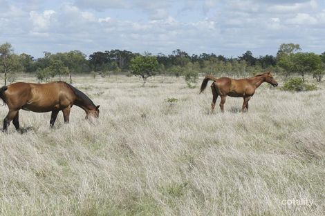Property photo of 192 McKenzie Road Alton Downs QLD 4702