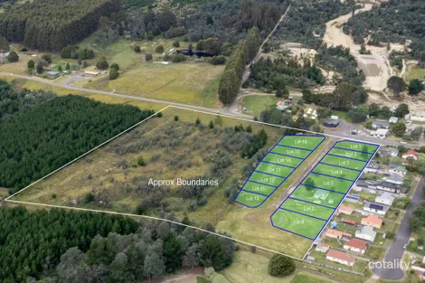 11 Hydro Rd, Maydena, TAS 7140