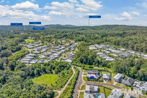 Property photo of 11 Creekline Place Mooloolah Valley QLD 4553