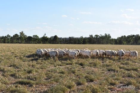 Property photo of 95L Burraway Road Terramungamine NSW 2830