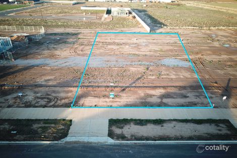 81 Wendouree Dr, Kialla, VIC 3631