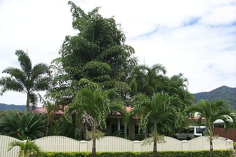Property photo of 45 Tryal Street Bentley Park QLD 4869