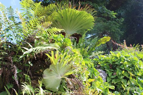 Property photo of 9 Gilmore Close Wollongbar NSW 2477