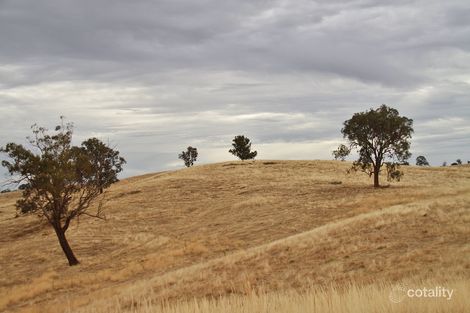 Property photo of 142 Wild Duck Road Mia Mia VIC 3444