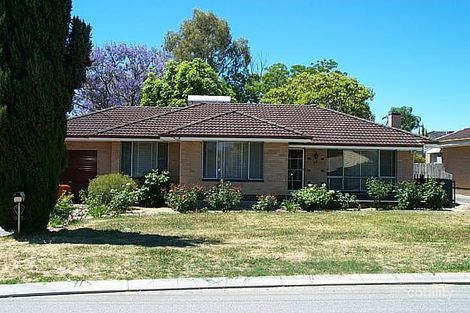 77 Halvorson Rd, Morley, WA 6062