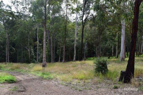 Property photo of 238 Pitkins Road Nymboida NSW 2460