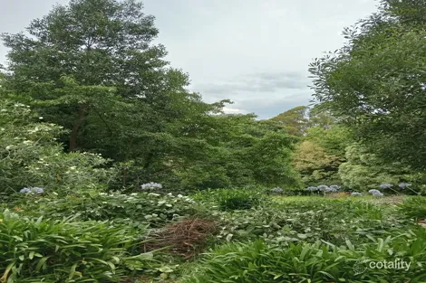 Property photo of 3 Halcyon Avenue The Patch VIC 3792