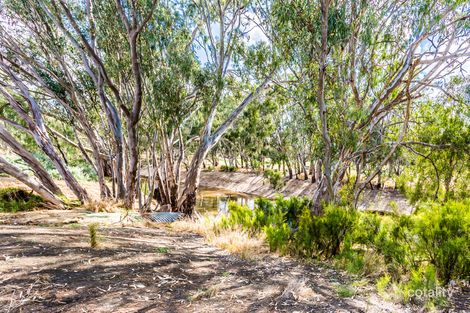 Property photo of 117 Campaspe Esplanade Echuca VIC 3564