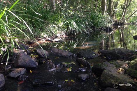 Property photo of 21 Bowerbird Avenue Burnside QLD 4560