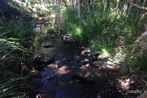 Property photo of 21 Bowerbird Avenue Burnside QLD 4560