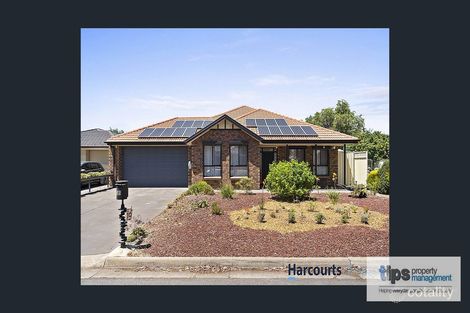 19 Harris Pl, Seaton, SA 5023
