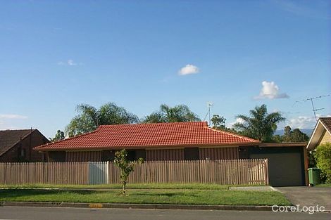 Property photo of 242 Cotlew Street Ashmore QLD 4214