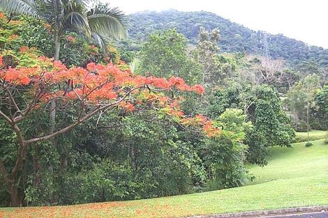 41 Minerva Ave, Mooroobool, QLD 4870