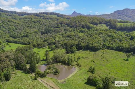 Property photo of 677 Tyalgum Road Eungella NSW 2484