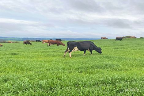 734 Cleland Gully Rd, Tooperang, SA 5255